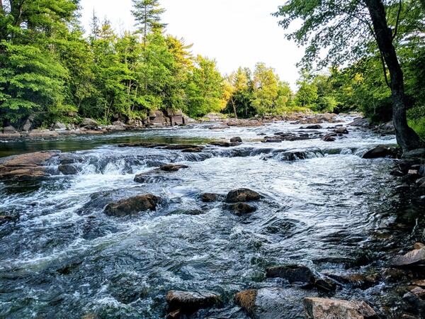 river running over rocks with green trees